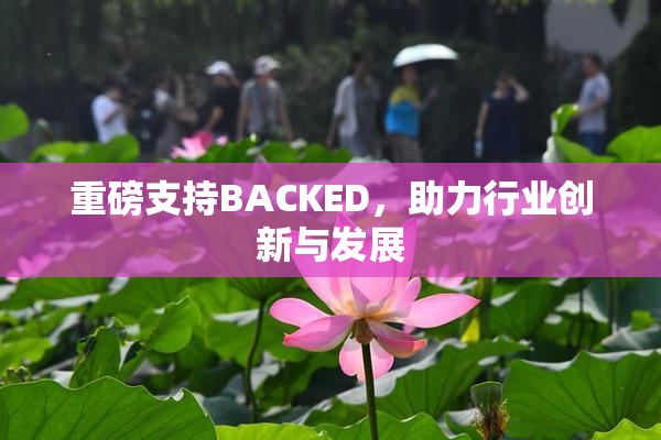 重磅支持BACKED，助力行业创新与发展