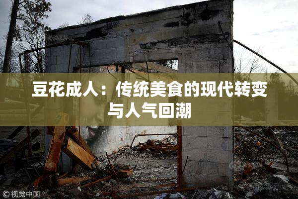 豆花成人：传统美食的现代转变与人气回潮