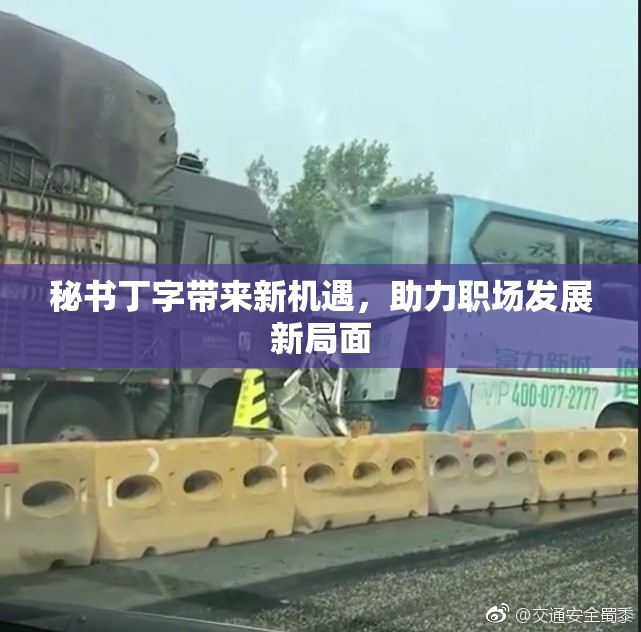 秘书丁字带来新机遇，助力职场发展新局面