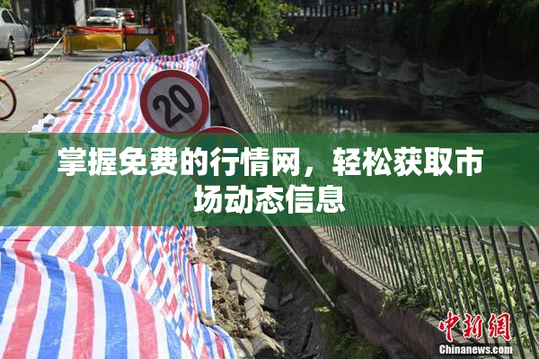 掌握免费的行情网，轻松获取市场动态信息