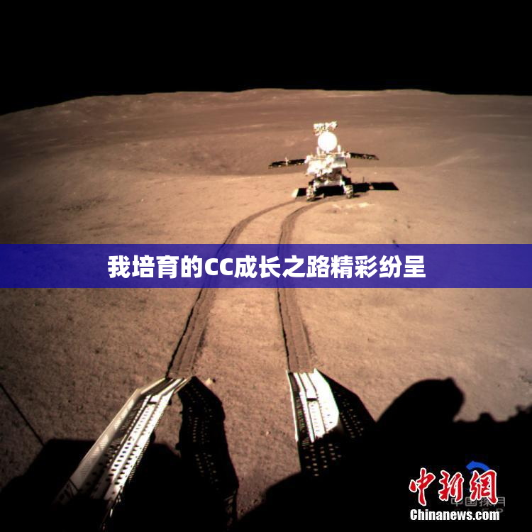我培育的CC成长之路精彩纷呈