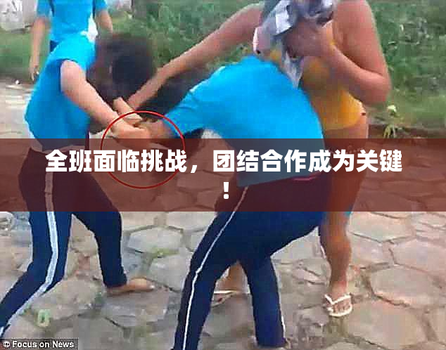 全班面临挑战，团结合作成为关键！