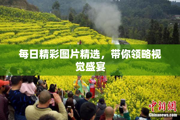 每日精彩图片精选，带你领略视觉盛宴