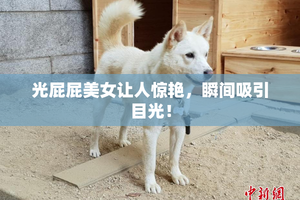 光屁屁美女让人惊艳，瞬间吸引目光！