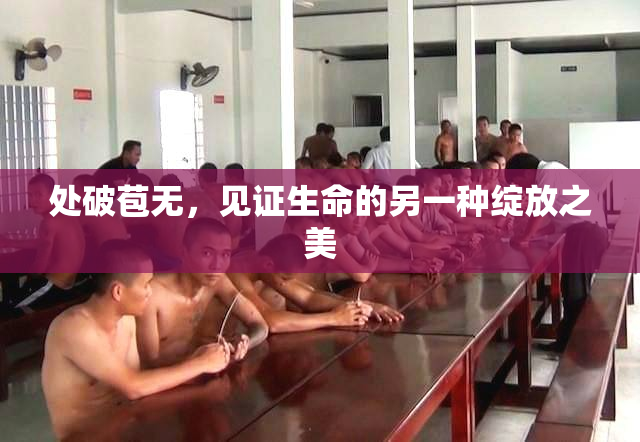 处破苞无，见证生命的另一种绽放之美