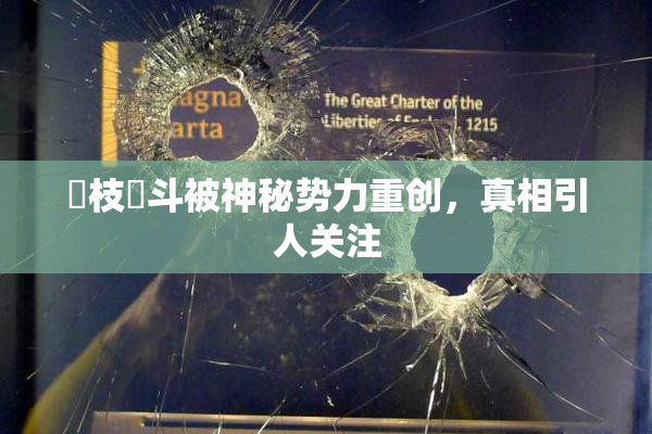 狛枝凪斗被神秘势力重创，真相引人关注