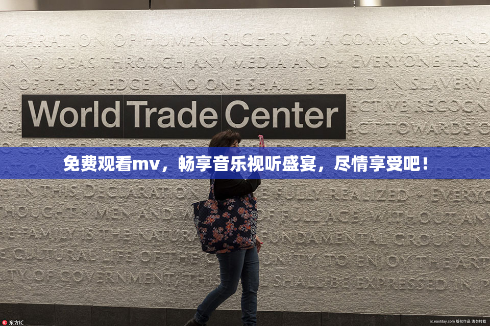 免费观看mv，畅享音乐视听盛宴，尽情享受吧！