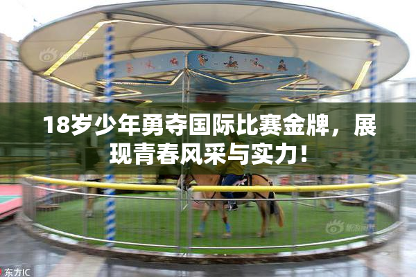18岁少年勇夺国际比赛金牌，展现青春风采与实力！