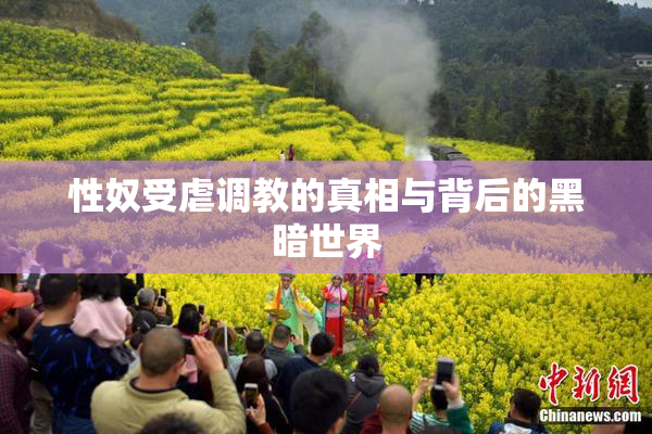 性奴受虐调教的真相与背后的黑暗世界