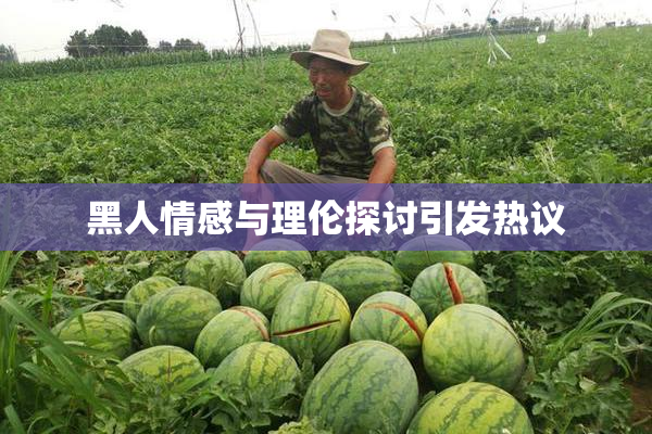 黑人情感与理伦探讨引发热议