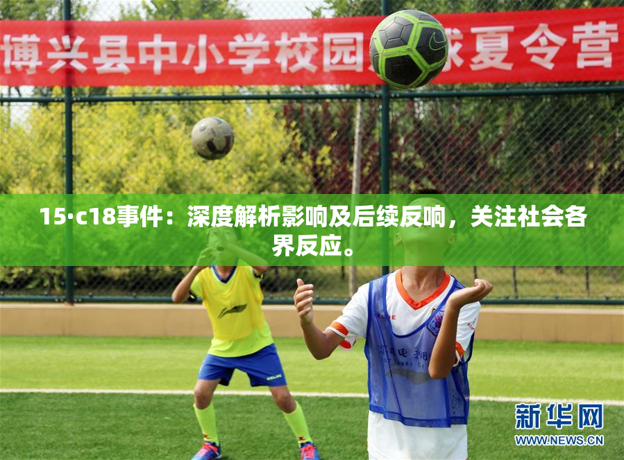 15·c18事件：深度解析影响及后续反响，关注社会各界反应。