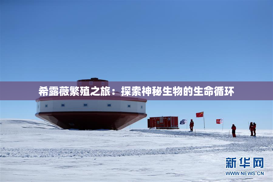 希露薇繁殖之旅：探索神秘生物的生命循环