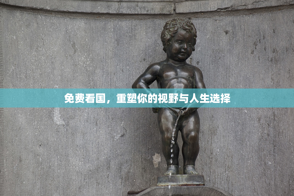 免费看国，重塑你的视野与人生选择