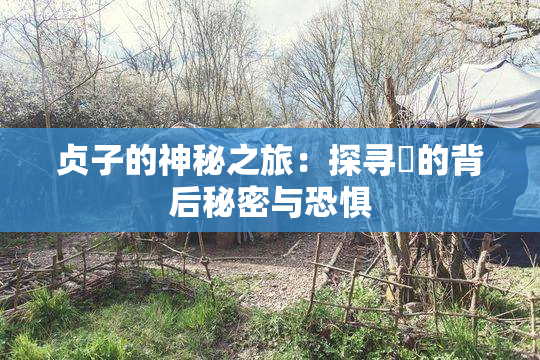 贞子的神秘之旅：探寻婬的背后秘密与恐惧