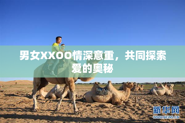 男女XXOO情深意重，共同探索爱的奥秘
