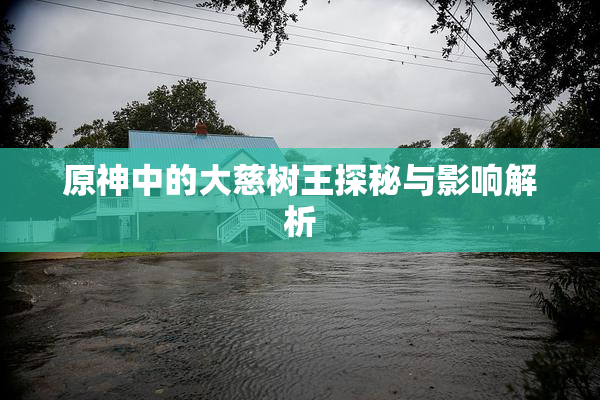 原神中的大慈树王探秘与影响解析