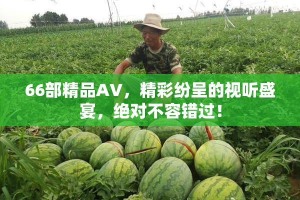 66部精品AV，精彩纷呈的视听盛宴，绝对不容错过！