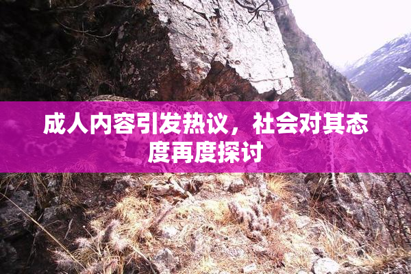成人内容引发热议，社会对其态度再度探讨