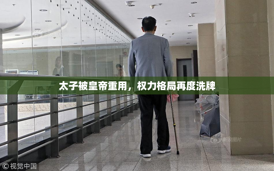 太子被皇帝重用，权力格局再度洗牌