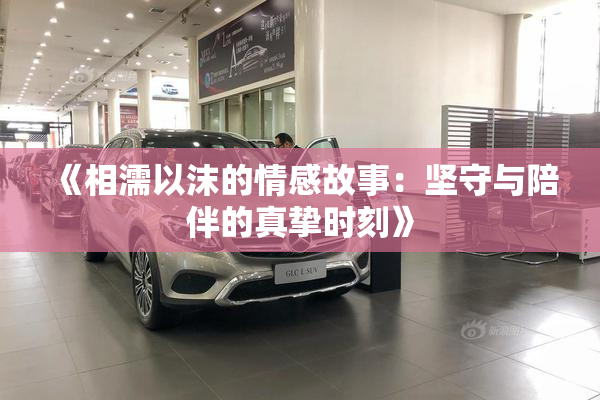 《相濡以沫的情感故事：坚守与陪伴的真挚时刻》
