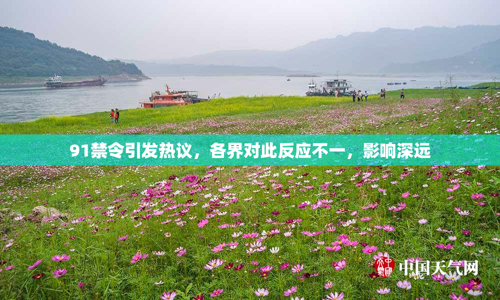 91禁令引发热议，各界对此反应不一，影响深远