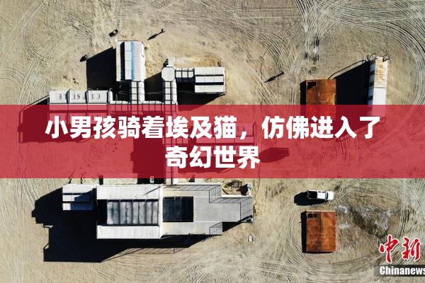 小男孩骑着埃及猫，仿佛进入了奇幻世界