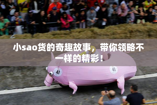 小sao货的奇趣故事，带你领略不一样的精彩！