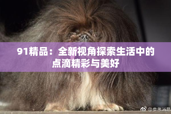 91精品：全新视角探索生活中的点滴精彩与美好