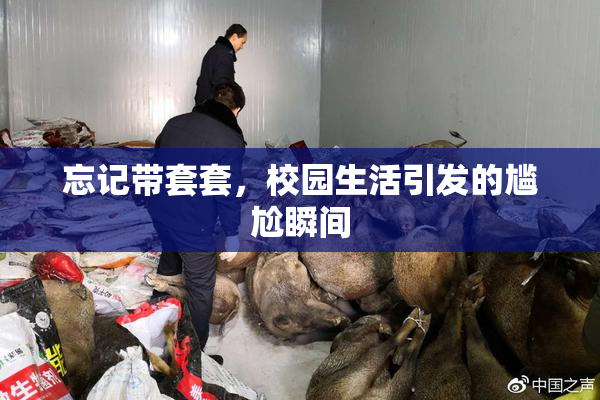 忘记带套套，校园生活引发的尴尬瞬间