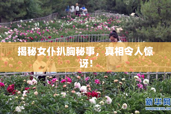 揭秘女仆扒胸秘事，真相令人惊讶！