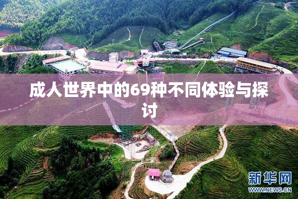 成人世界中的69种不同体验与探讨