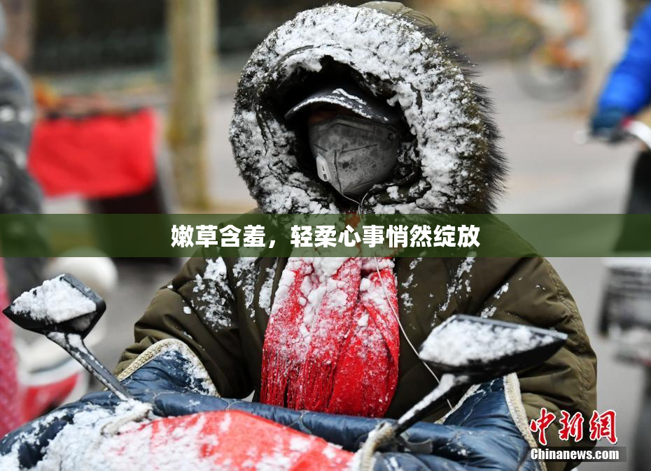 嫩草含羞，轻柔心事悄然绽放