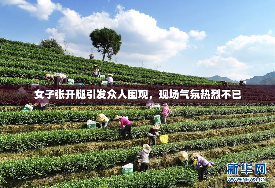 女子张开腿引发众人围观，现场气氛热烈不已