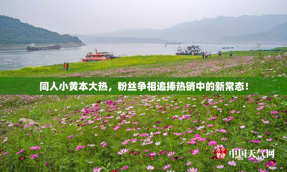 同人小黄本大热，粉丝争相追捧热销中的新常态！