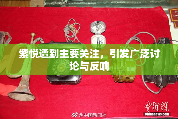 紫悦遭到主要关注，引发广泛讨论与反响