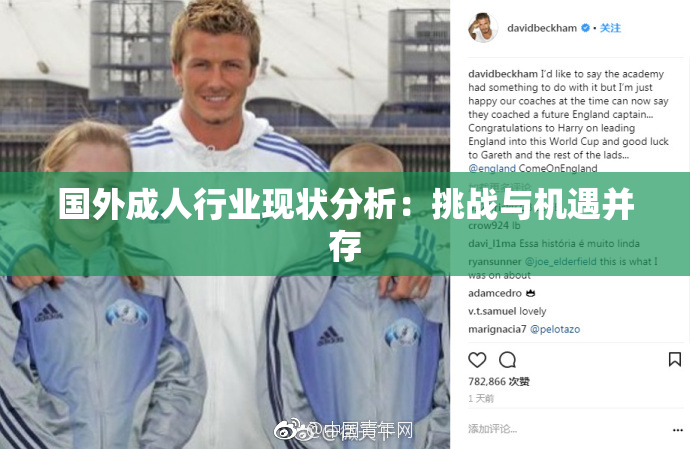 国外成人行业现状分析：挑战与机遇并存