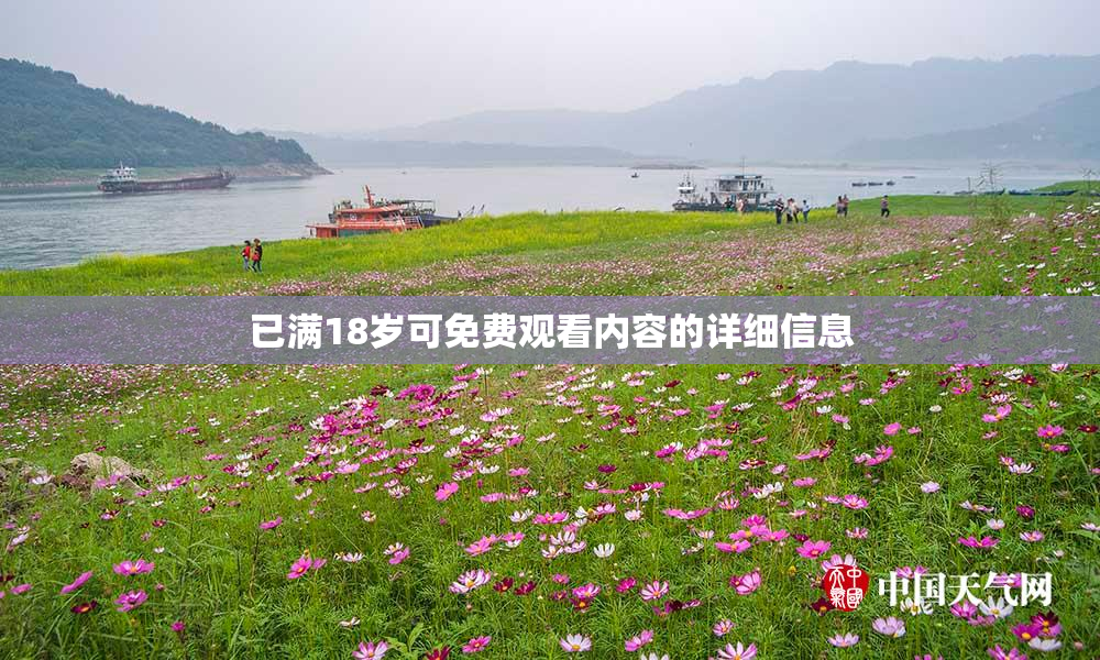 已满18岁可免费观看内容的详细信息