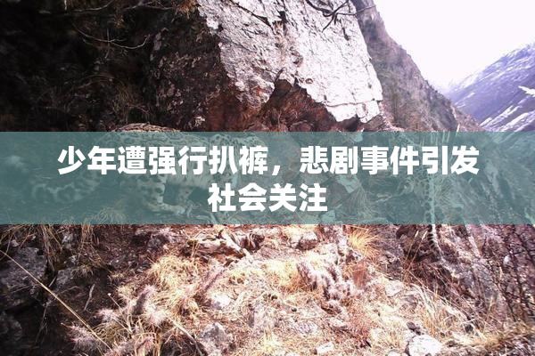 少年遭强行扒裤，悲剧事件引发社会关注