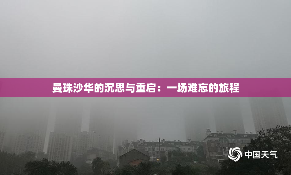 曼珠沙华的沉思与重启：一场难忘的旅程