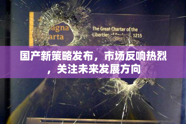国产新策略发布，市场反响热烈，关注未来发展方向