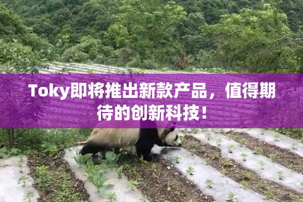 Toky即将推出新款产品，值得期待的创新科技！