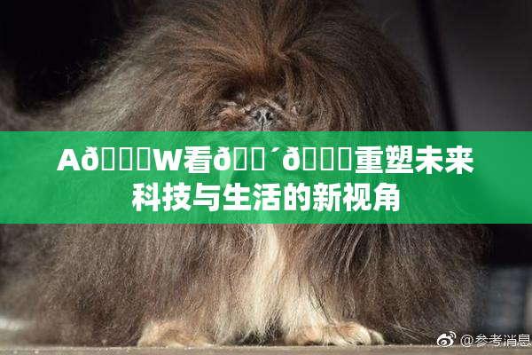A🔞W看🔴🔞重塑未来科技与生活的新视角