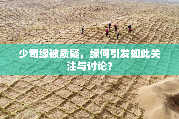 少司缘被质疑，缘何引发如此关注与讨论？