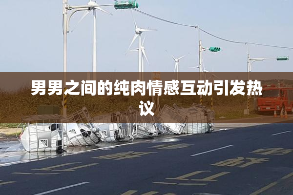 男男之间的纯肉情感互动引发热议