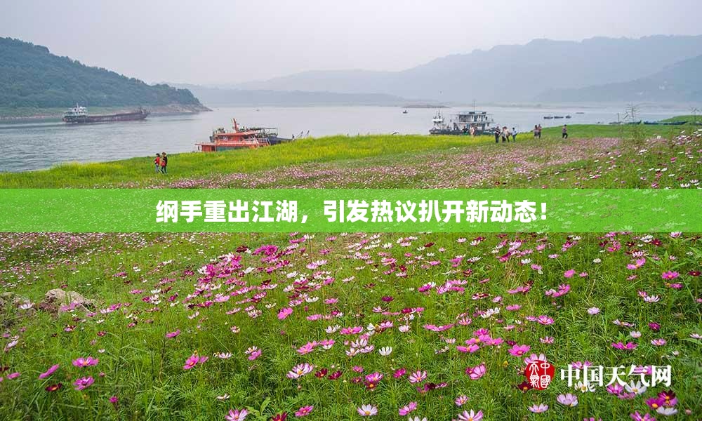 纲手重出江湖，引发热议扒开新动态！