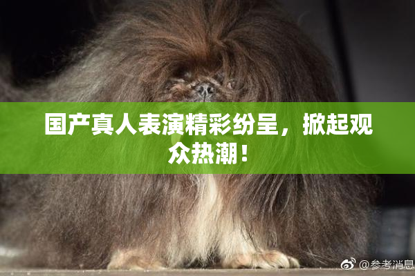 国产真人表演精彩纷呈，掀起观众热潮！