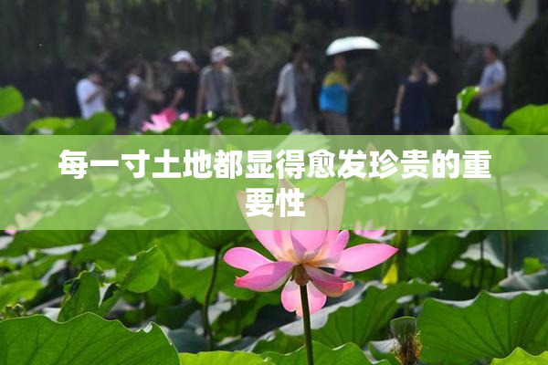 每一寸土地都显得愈发珍贵的重要性