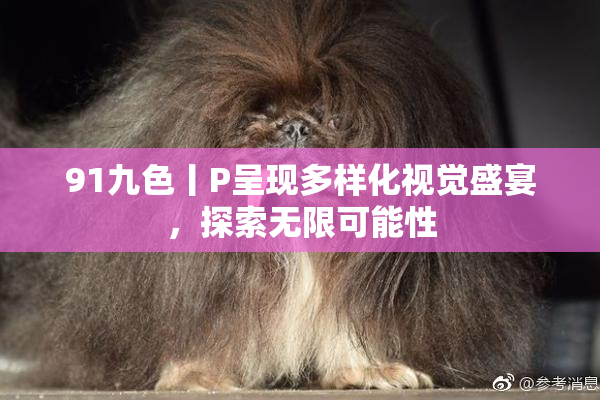 91九色丨P呈现多样化视觉盛宴，探索无限可能性