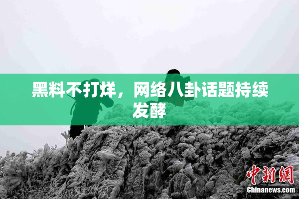 黑料不打烊，网络八卦话题持续发酵