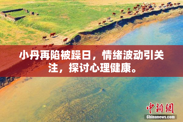 小丹再陷被躁日，情绪波动引关注，探讨心理健康。